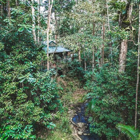 Narrows Escape Rainforest Retreat Montville Eksteriør bilde