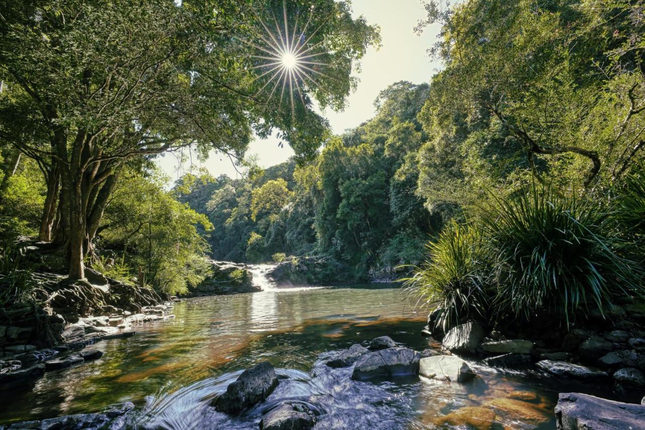 Narrows Escape Rainforest Retreat Montville Eksteriør bilde