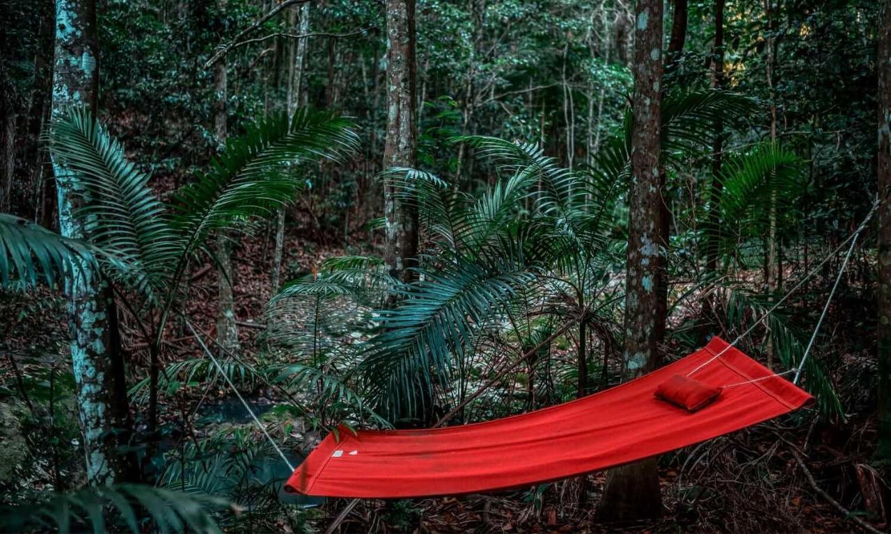 Narrows Escape Rainforest Retreat Montville Eksteriør bilde