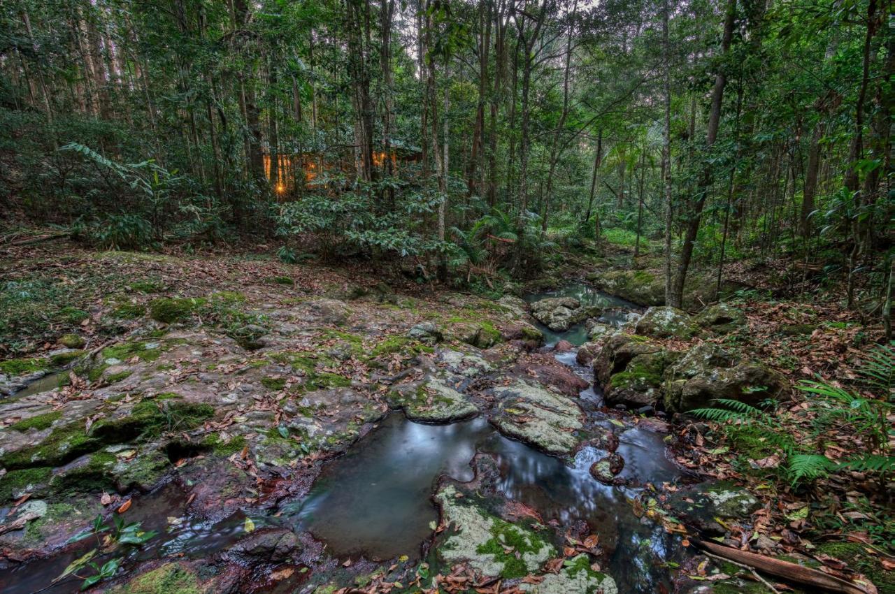 Narrows Escape Rainforest Retreat Montville Eksteriør bilde