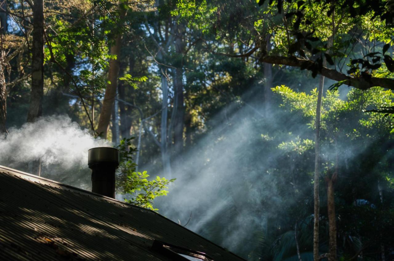 Narrows Escape Rainforest Retreat Montville Eksteriør bilde