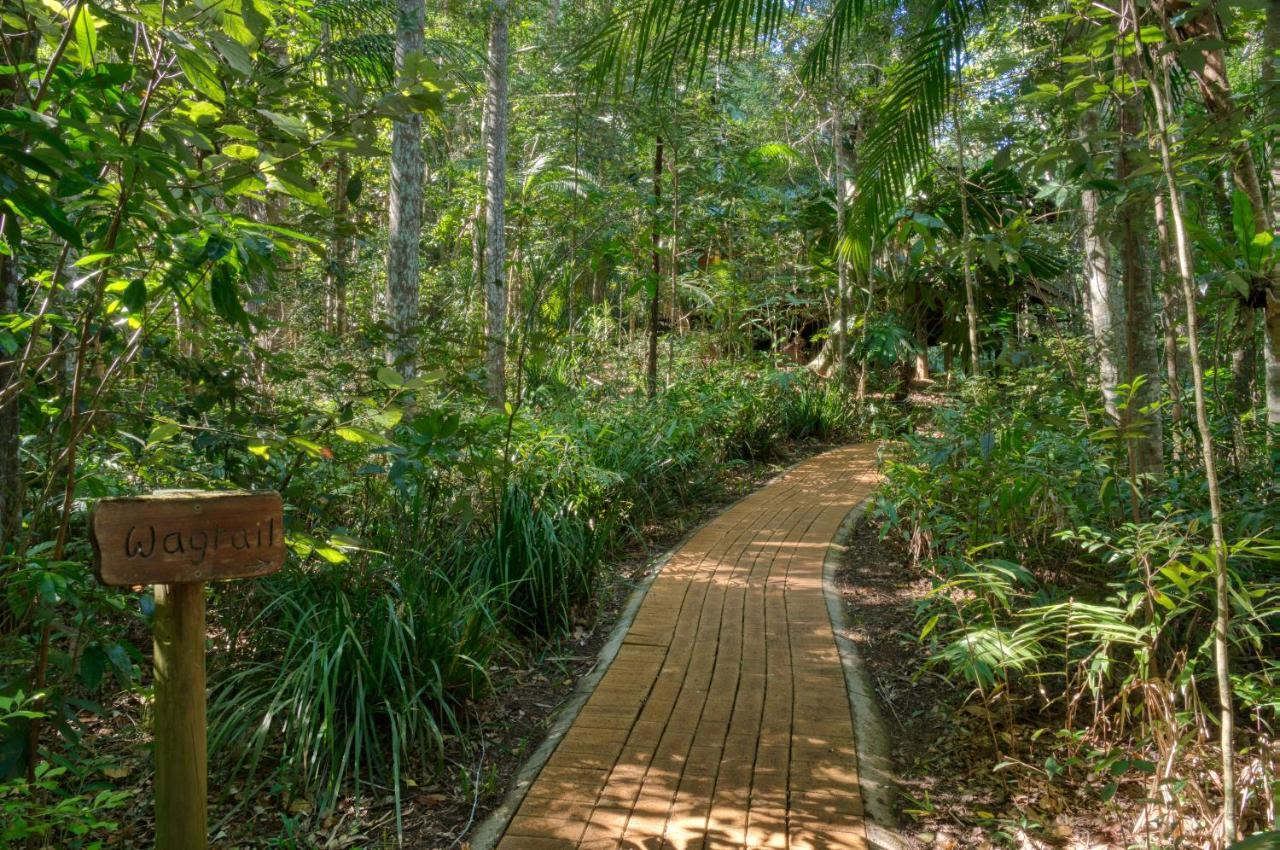 Narrows Escape Rainforest Retreat Montville Eksteriør bilde