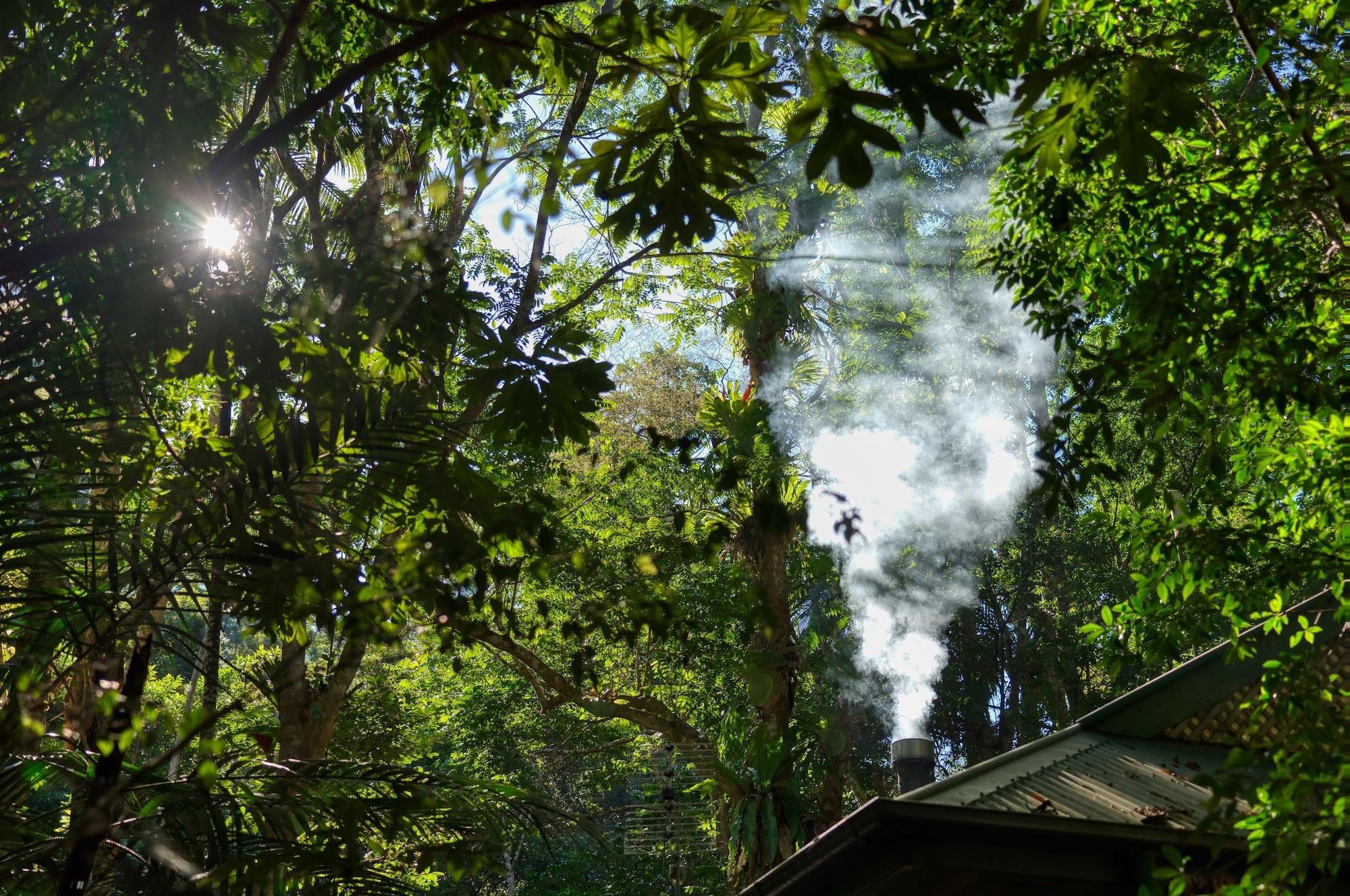 Narrows Escape Rainforest Retreat Montville Eksteriør bilde