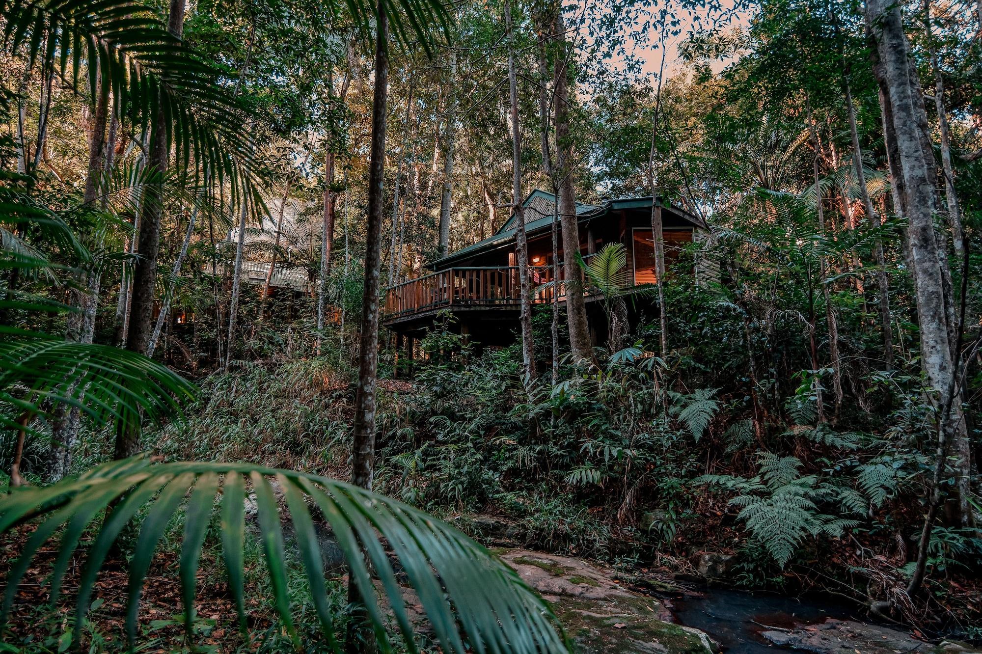 Narrows Escape Rainforest Retreat Montville Eksteriør bilde