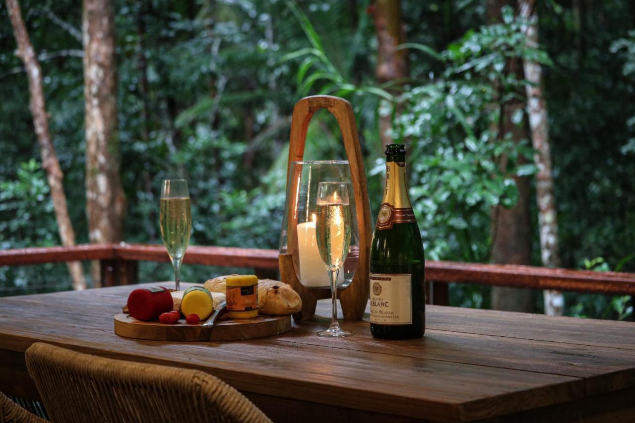 Narrows Escape Rainforest Retreat Montville Eksteriør bilde