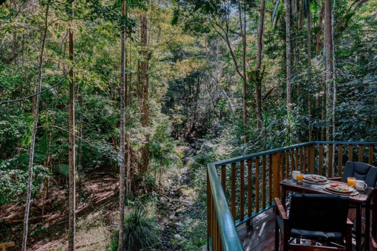 Narrows Escape Rainforest Retreat Montville Eksteriør bilde