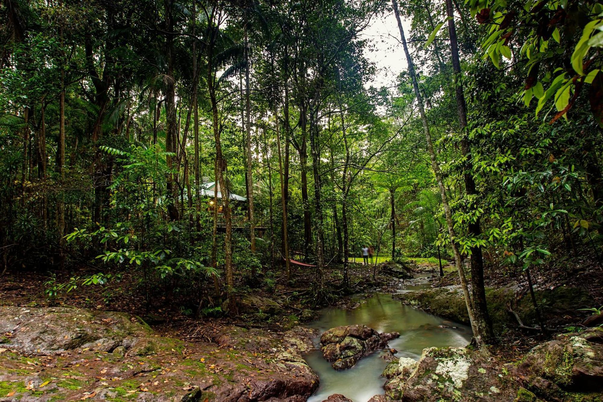Narrows Escape Rainforest Retreat Montville Eksteriør bilde