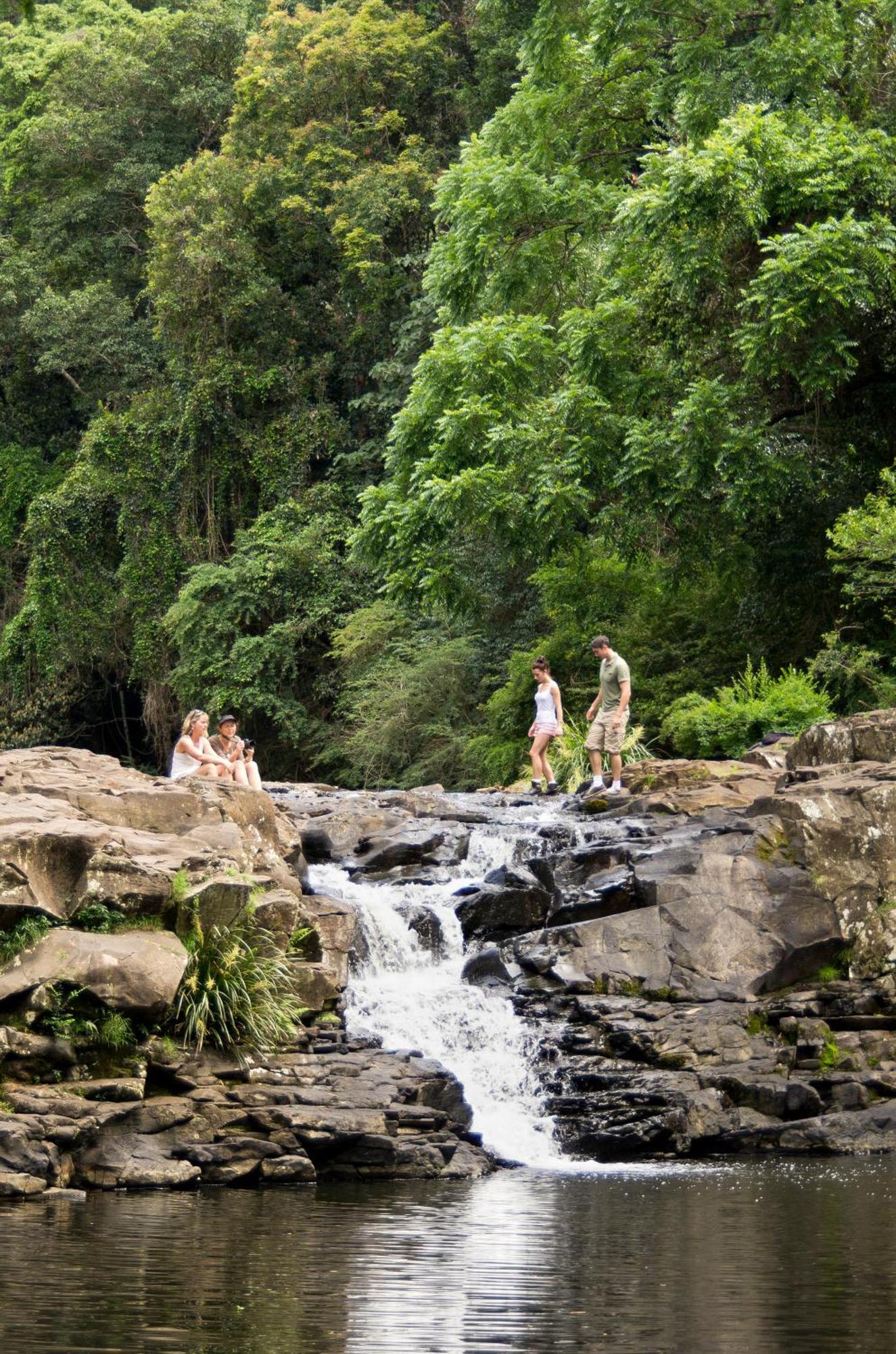 Narrows Escape Rainforest Retreat Montville Eksteriør bilde