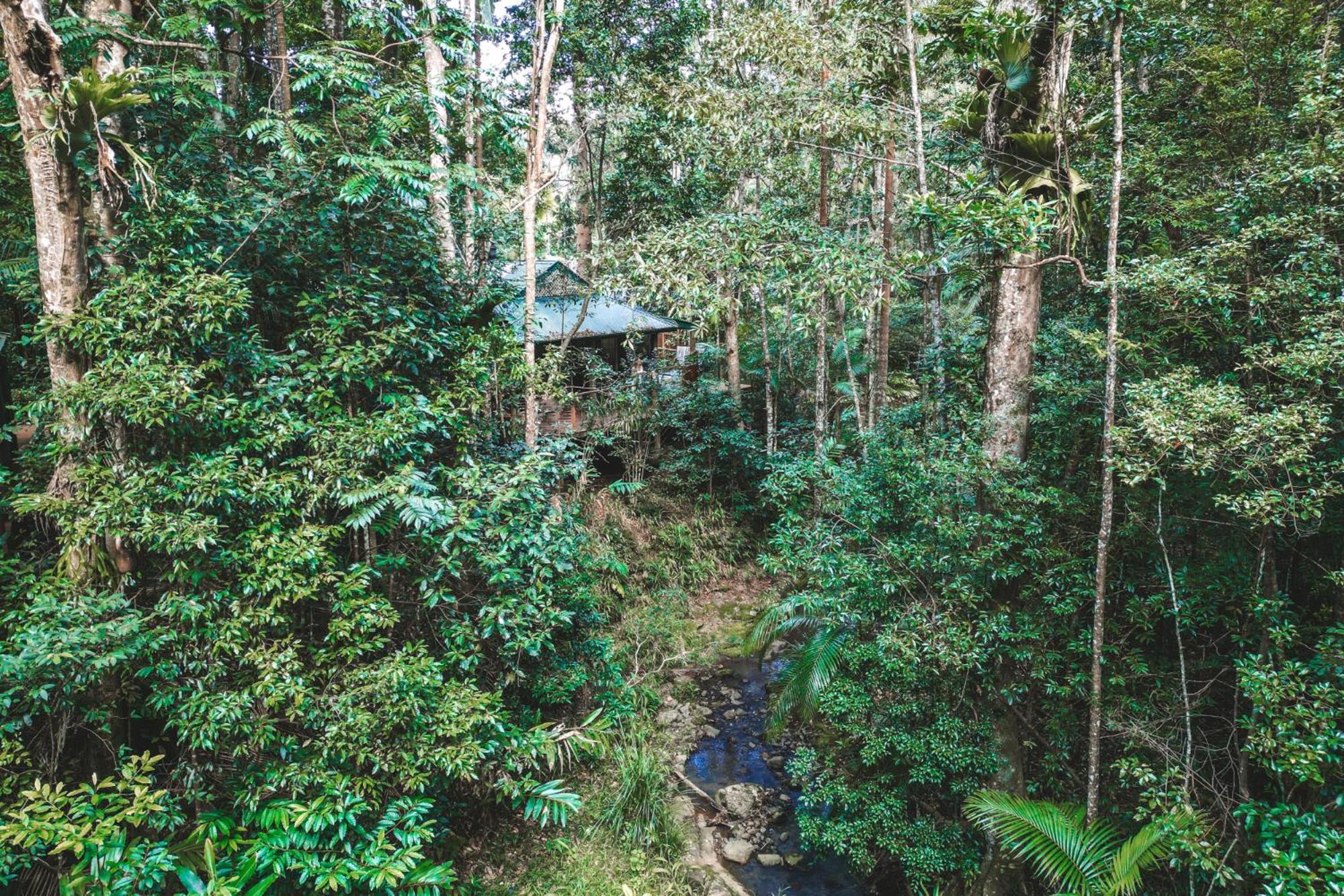Narrows Escape Rainforest Retreat Montville Eksteriør bilde