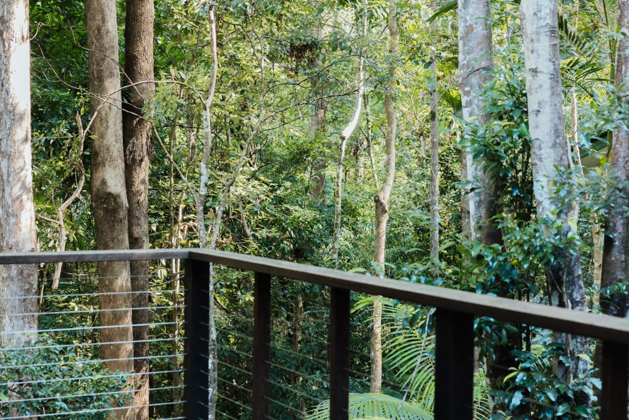 Narrows Escape Rainforest Retreat Montville Eksteriør bilde