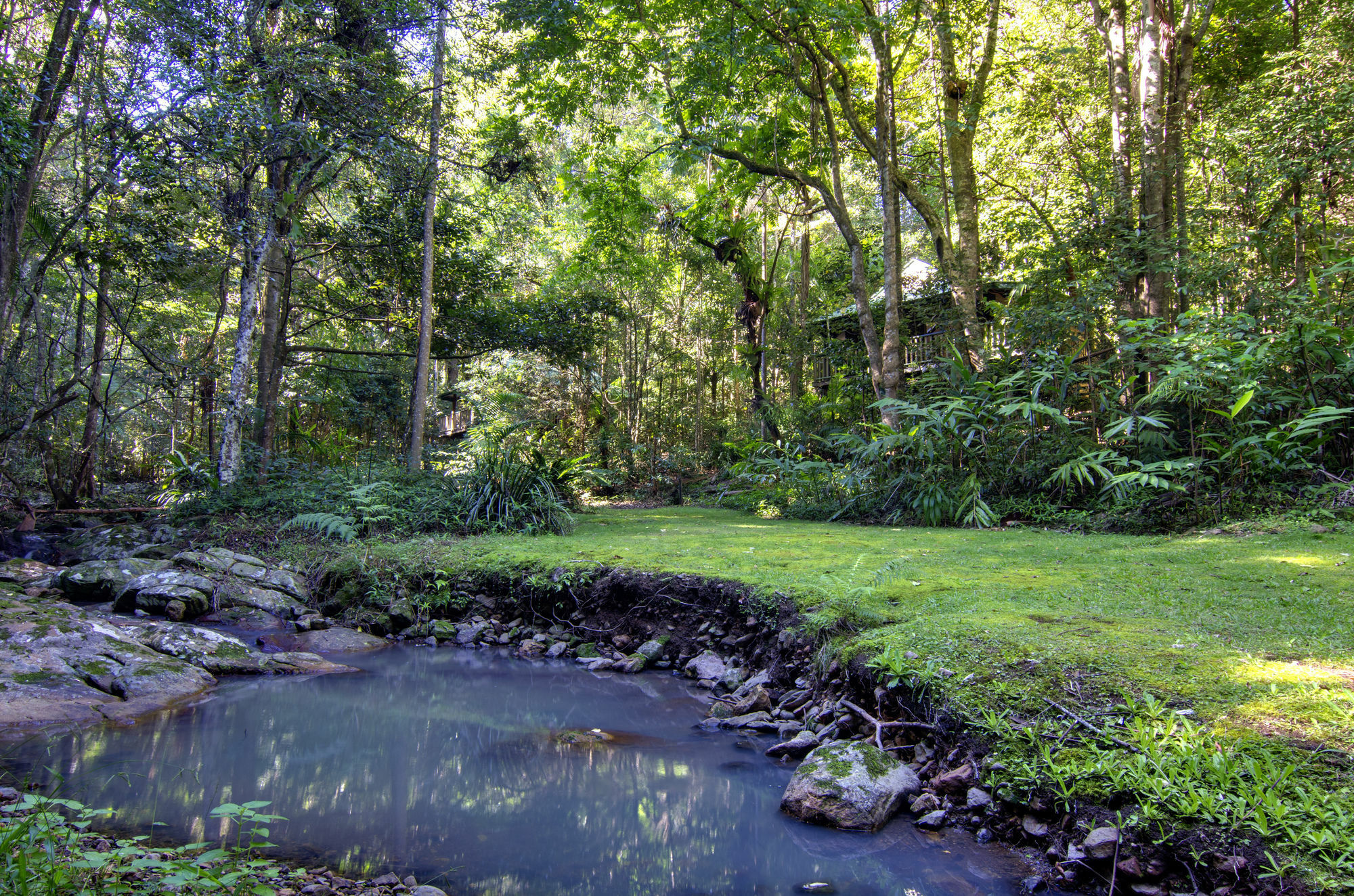 Narrows Escape Rainforest Retreat Montville Eksteriør bilde